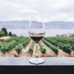 Wine tasting during a Cape Town wine tour day trip
