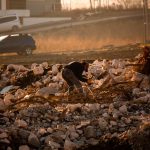 Construction rubble removal in Pretoria North